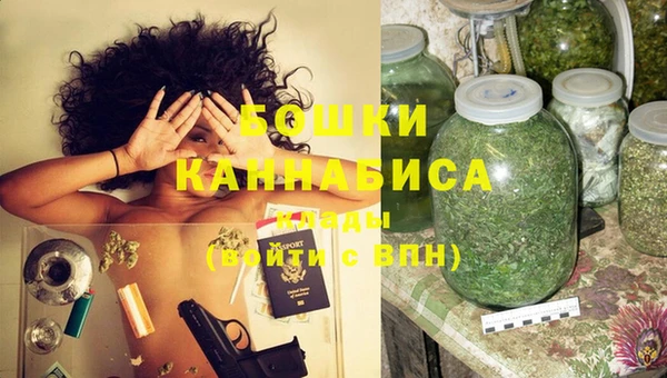 дживик Гусиноозёрск