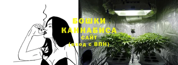 метадон Гусь-Хрустальный