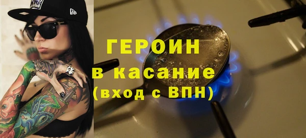 твердый Гусев