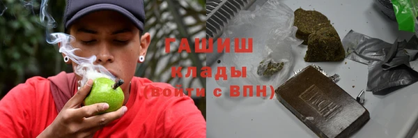 твердый Гусев