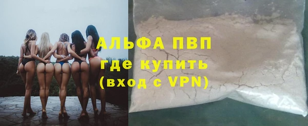 твердый Гусев