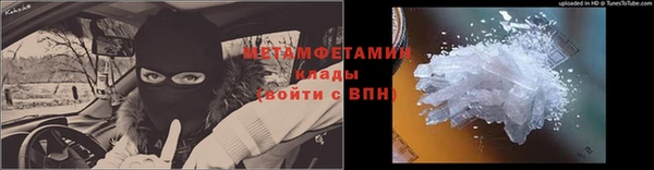 твердый Гусев