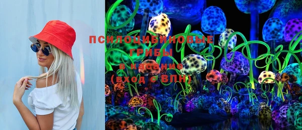 метадон Гусь-Хрустальный