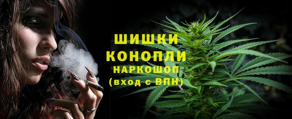твердый Гусев