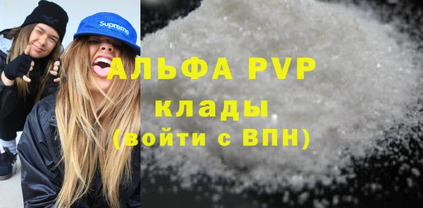 твердый Гусев