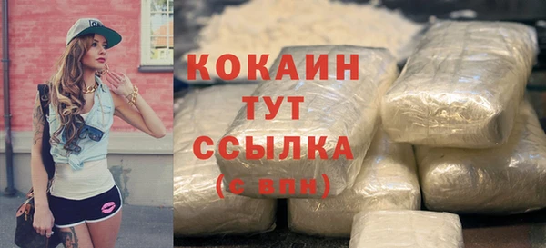 твердый Гусев